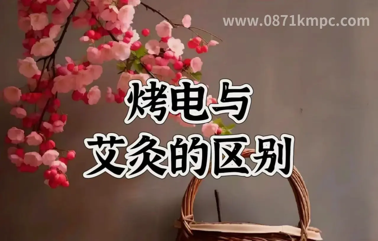 新手入门