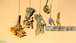 昆明按摩新体验：告别酸痛老腰，解锁你的专属放松密码！ 图片