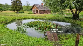 昆明按摩老司机私藏秘籍：告别无效养生，体验身心焕新的极致享受！