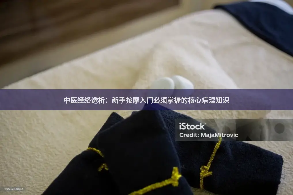 中医经络