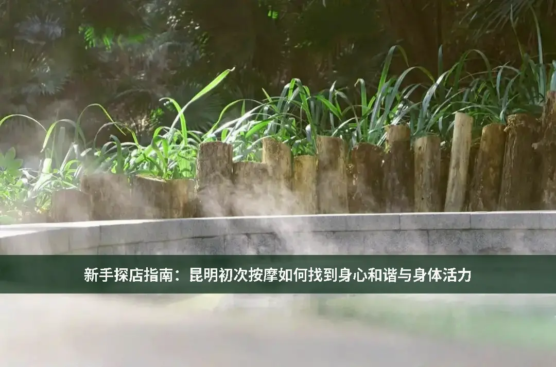 同城按摩指南