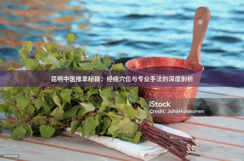 经络穴位解析